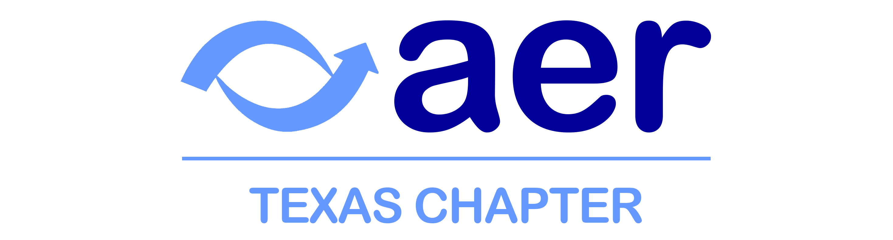 Association for Education and Rehabilitation of the Blind and Visually Impaired, Texas Chapter logo